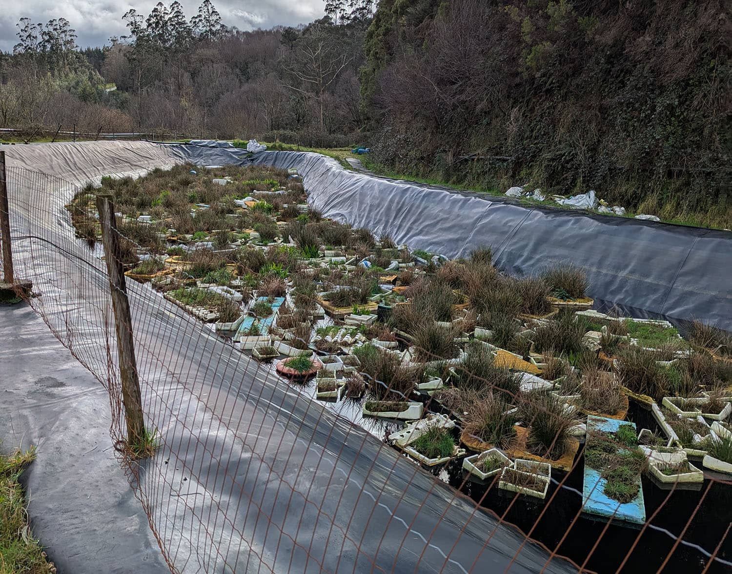 Tecnologías Ambientales y Biobasadas