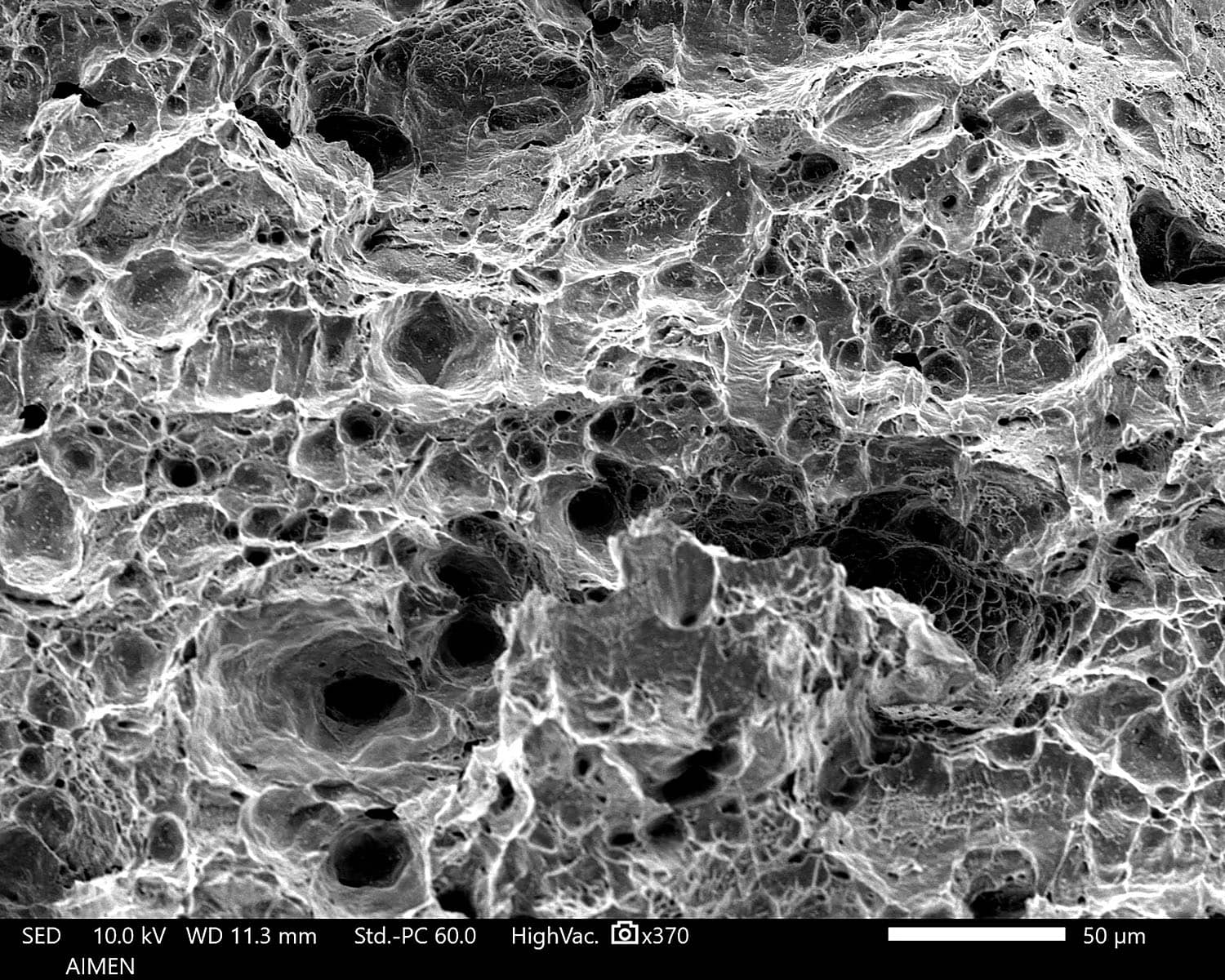 detalle microscopico